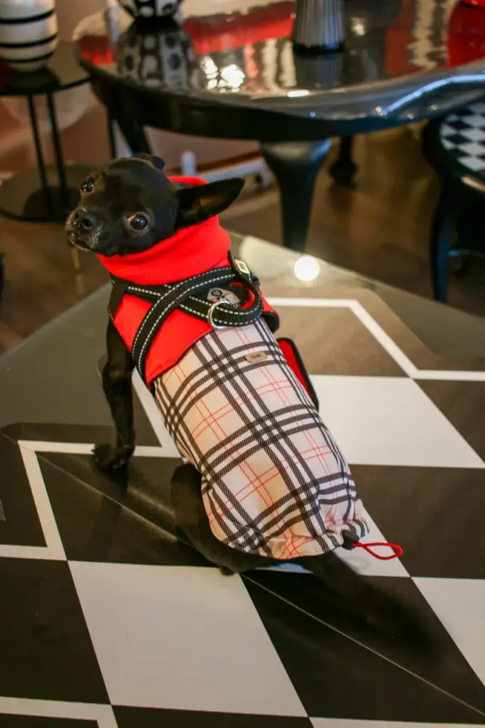 Stil4You 4Seasons-Hundemantel Burberry, rot