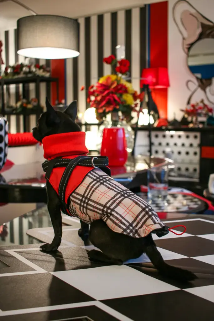 Stil4You 4Seasons-Hundemantel Burberry, rot