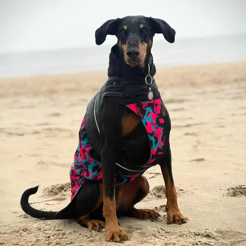 Stil4You 4Seasons- Hundemantel Camouflage, wasserabweisend