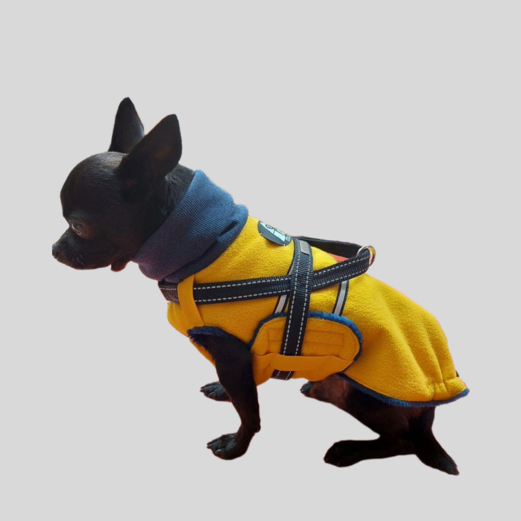 Stil4you Hundemantel Fleece, gelb/ blau, Chihuahua