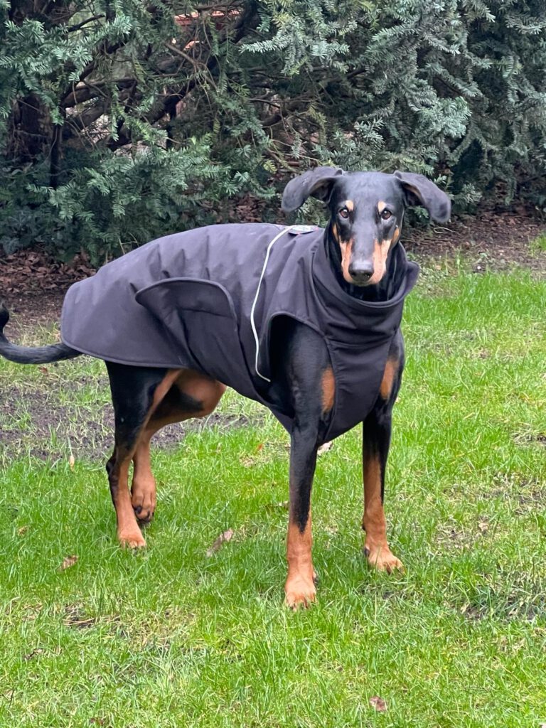Stil4you Hundemantel, wasserabweisend schwarz, Dobermann