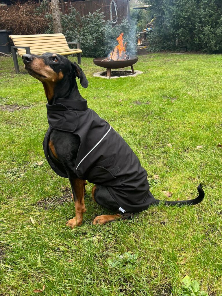 Stil4you Hundemantel, wasserabweisend schwarz, Dobermann