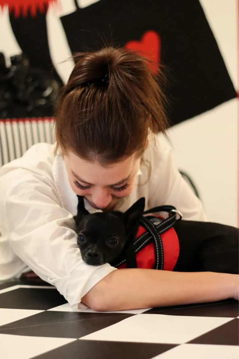 Stil4You Hundeweste